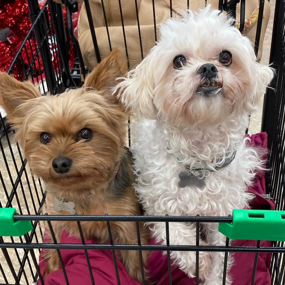 Meet your Posher, Leslyn